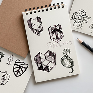 Logo Standard Systems - projekt i realizacja Pracownia Projektowa Zygzak